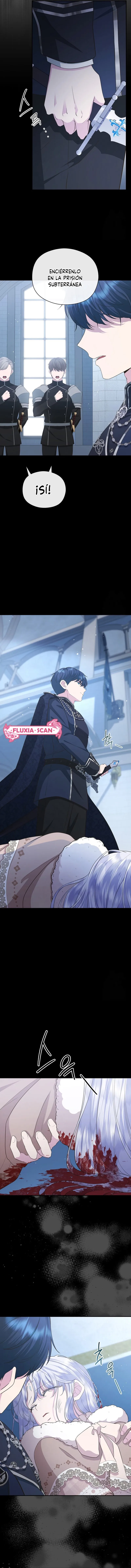 2 Las violetas que florecieron en el jardín