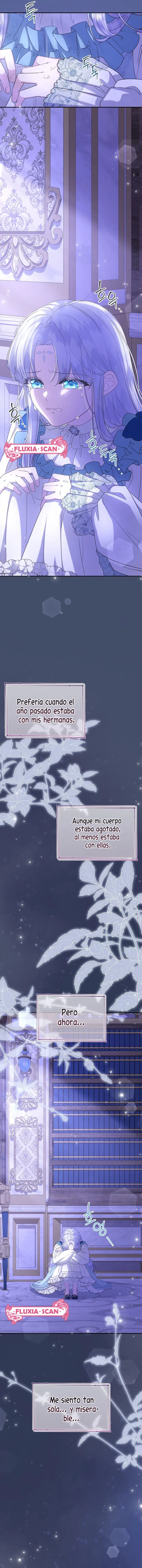 14 Las violetas que florecieron en el jardín