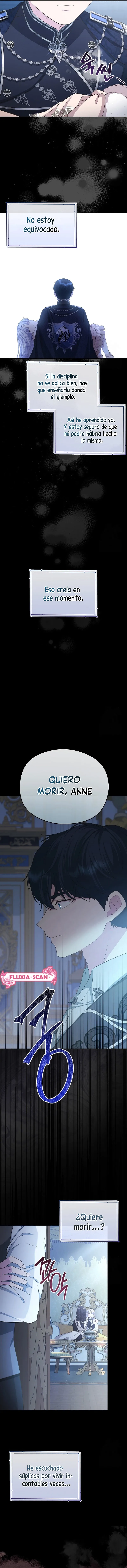 3 Las violetas que florecieron en el jardín