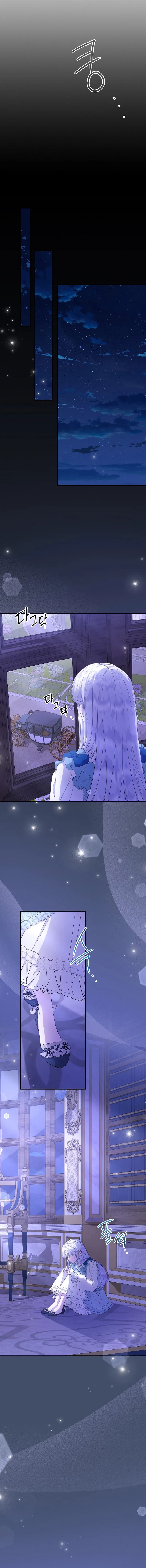 13 Las violetas que florecieron en el jardín