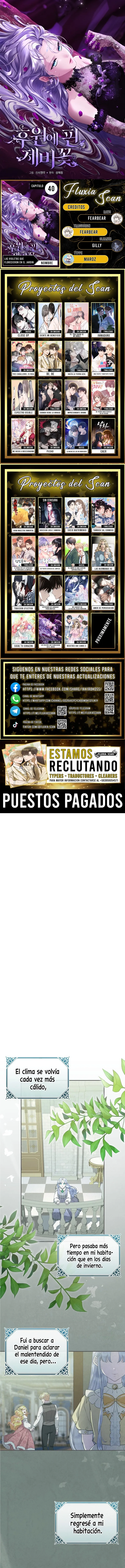 0 Las violetas que florecieron en el jardín