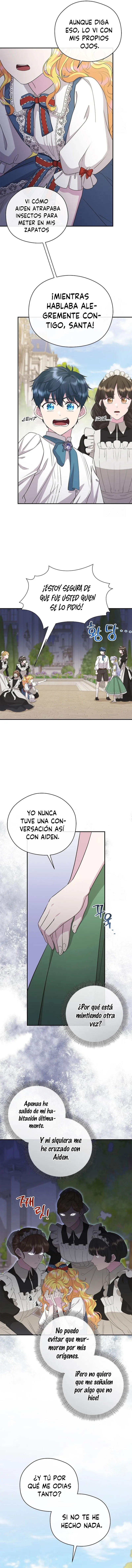 3 Las violetas que florecieron en el jardín