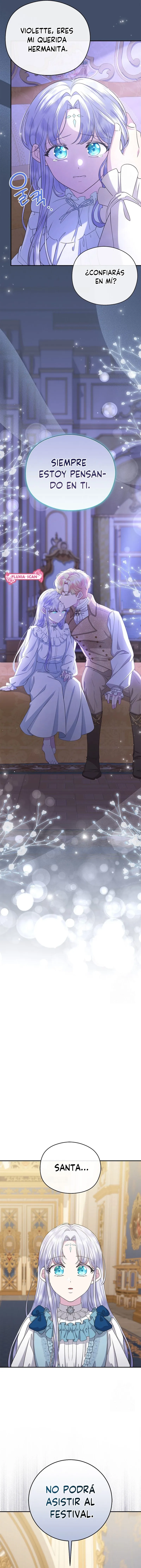 13 Las violetas que florecieron en el jardín