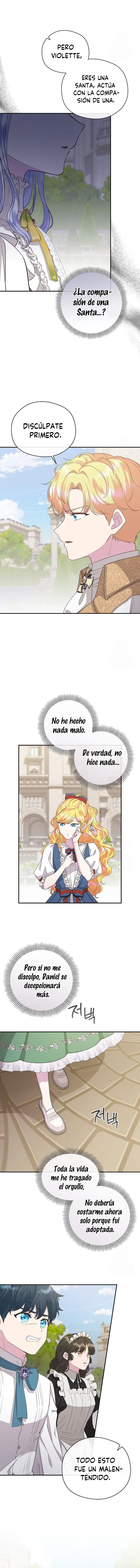 7 Las violetas que florecieron en el jardín