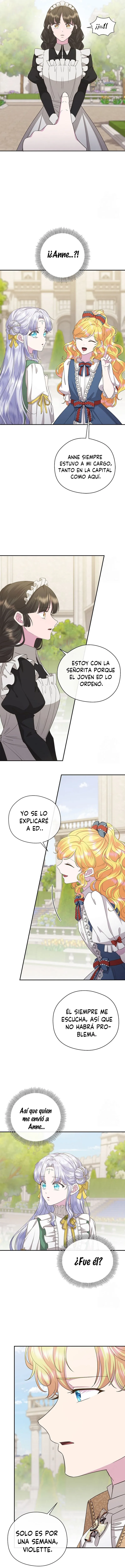 9 Las violetas que florecieron en el jardín