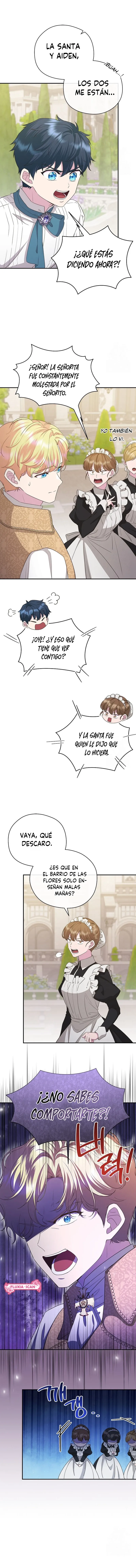 5 Las violetas que florecieron en el jardín