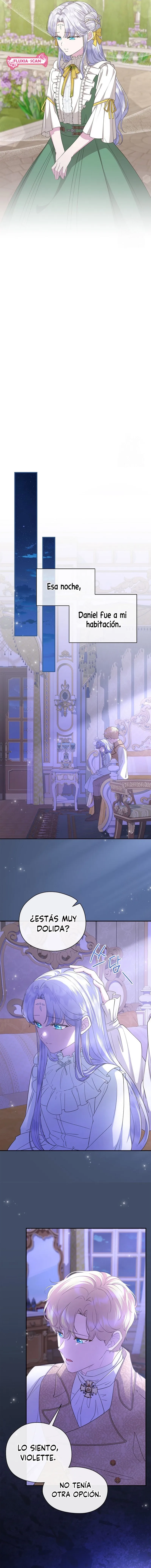 11 Las violetas que florecieron en el jardín