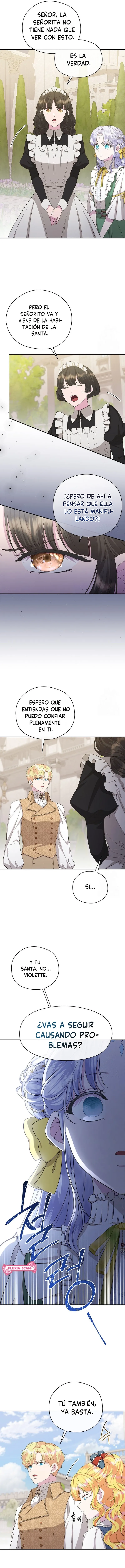 6 Las violetas que florecieron en el jardín