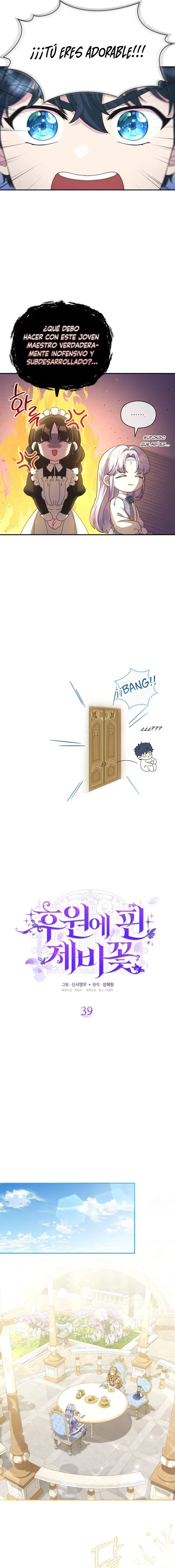 2 Las violetas que florecieron en el jardín