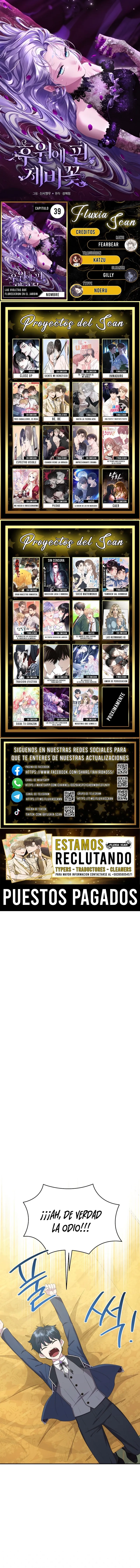 0 Las violetas que florecieron en el jardín