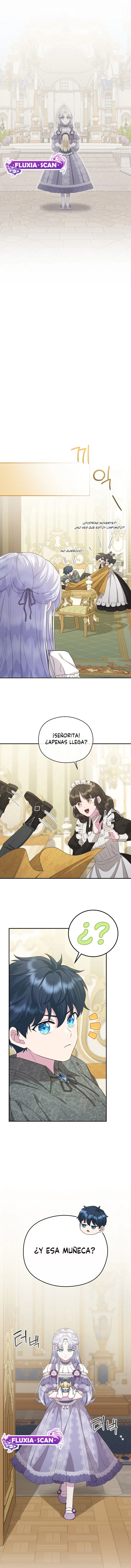 9 Las violetas que florecieron en el jardín