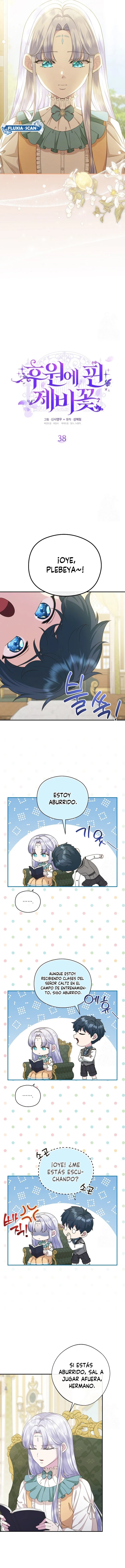 4 Las violetas que florecieron en el jardín