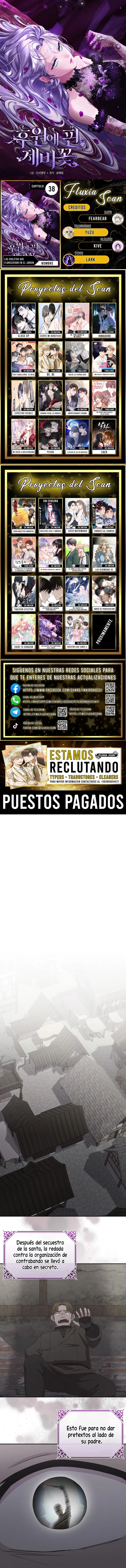 0 Las violetas que florecieron en el jardín