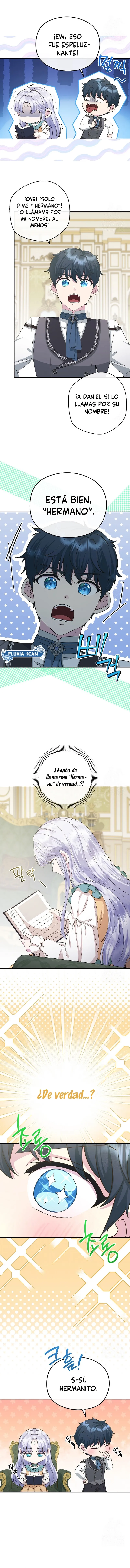 5 Las violetas que florecieron en el jardín