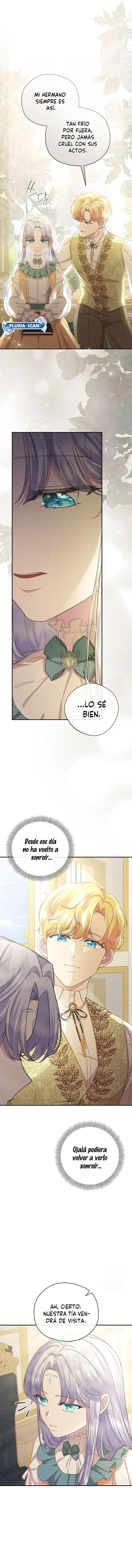 2 Las violetas que florecieron en el jardín