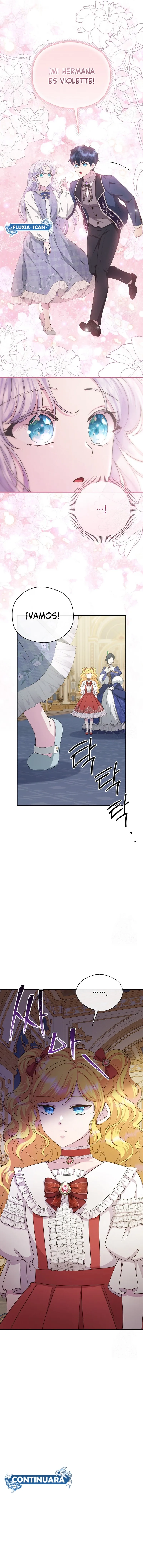 13 Las violetas que florecieron en el jardín