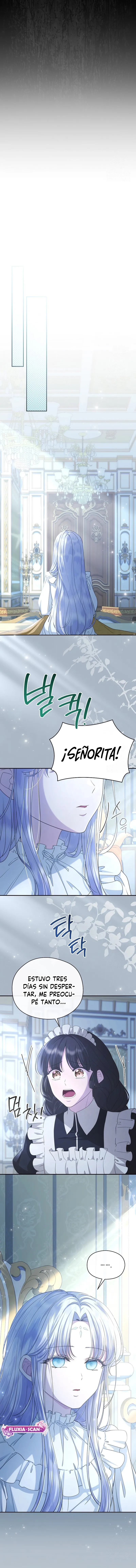 12 Las violetas que florecieron en el jardín