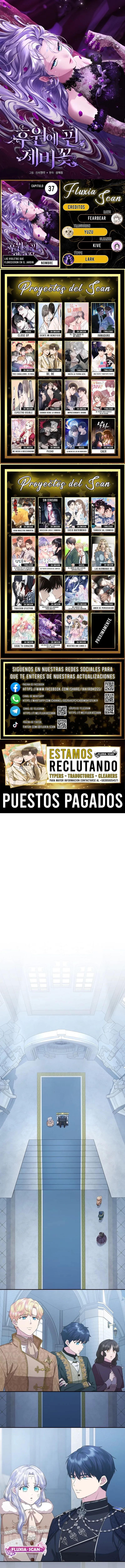 0 Las violetas que florecieron en el jardín