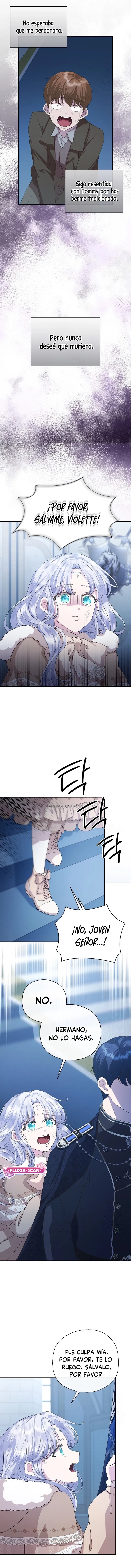 7 Las violetas que florecieron en el jardín