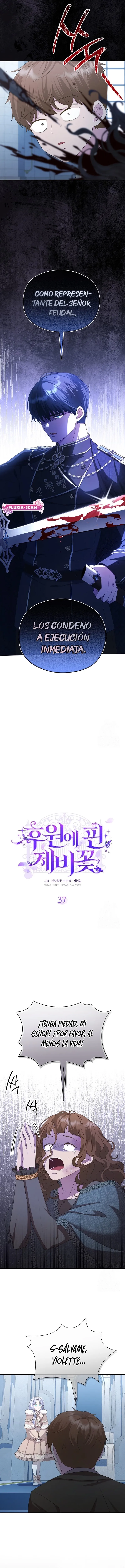 6 Las violetas que florecieron en el jardín