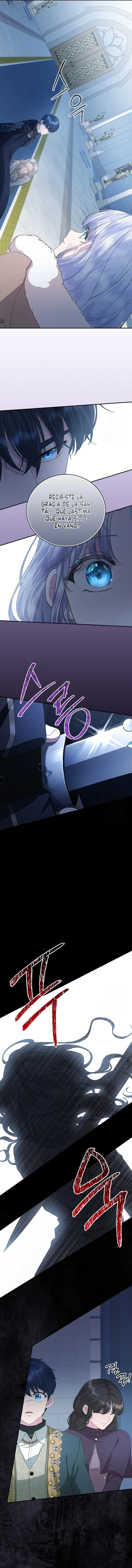 5 Las violetas que florecieron en el jardín