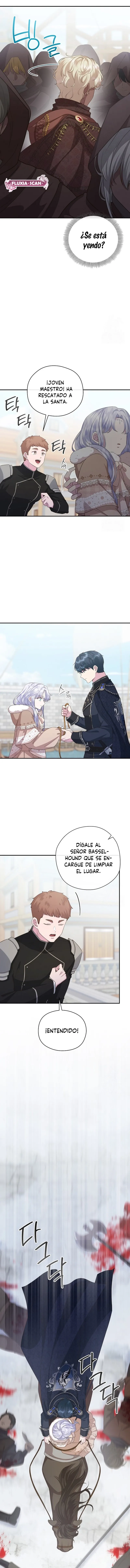 7 Las violetas que florecieron en el jardín