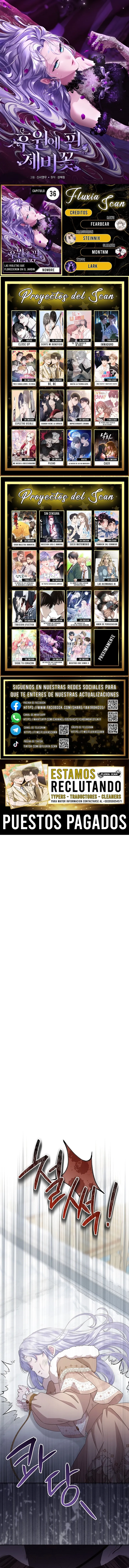 0 Las violetas que florecieron en el jardín