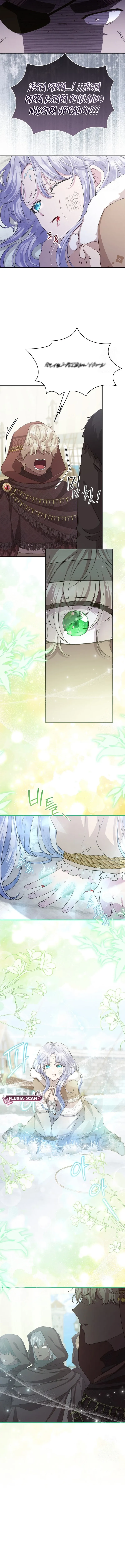 1 Las violetas que florecieron en el jardín