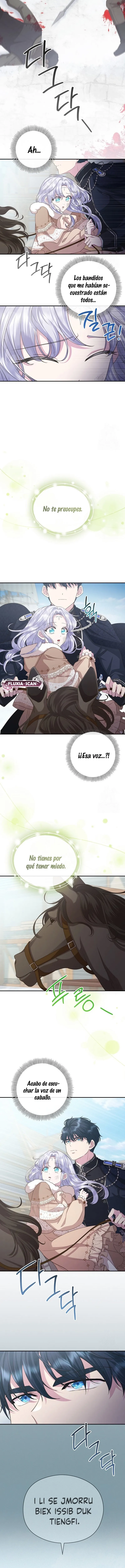 8 Las violetas que florecieron en el jardín