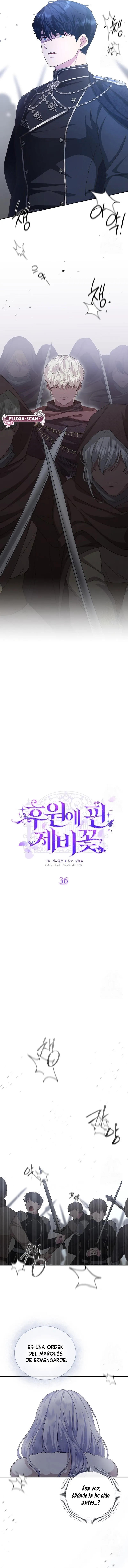 4 Las violetas que florecieron en el jardín