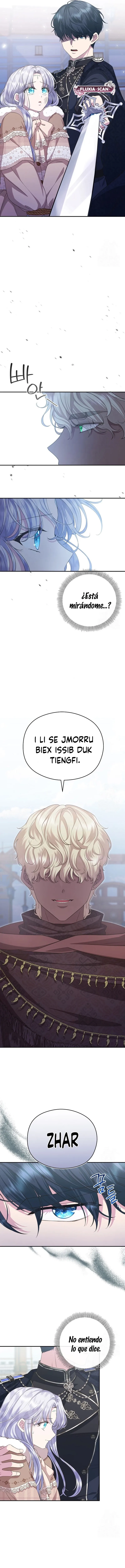 6 Las violetas que florecieron en el jardín