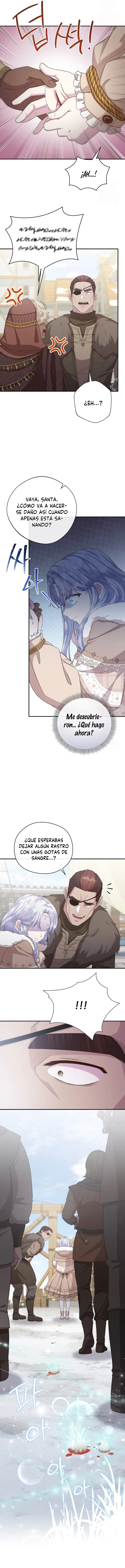 12 Las violetas que florecieron en el jardín