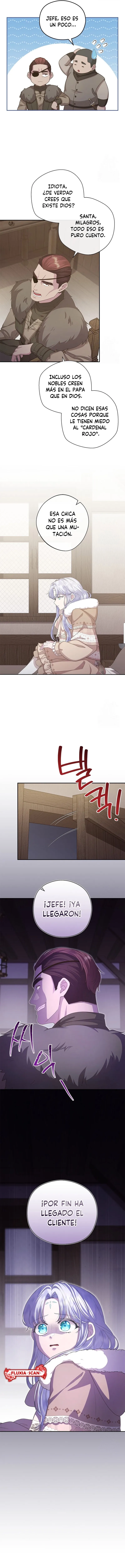 5 Las violetas que florecieron en el jardín