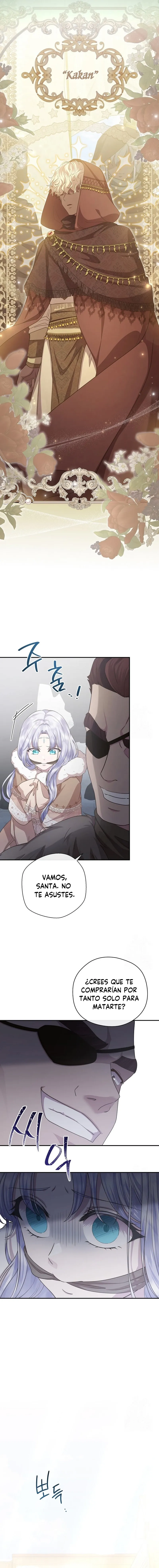 9 Las violetas que florecieron en el jardín