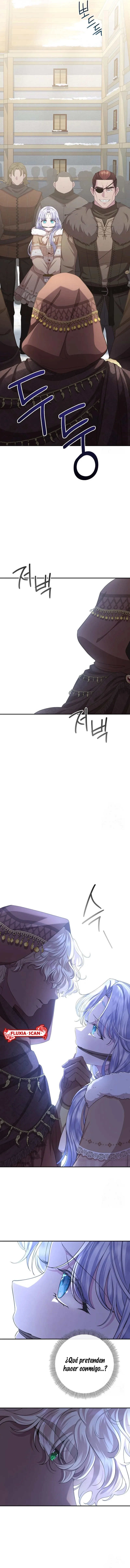 10 Las violetas que florecieron en el jardín