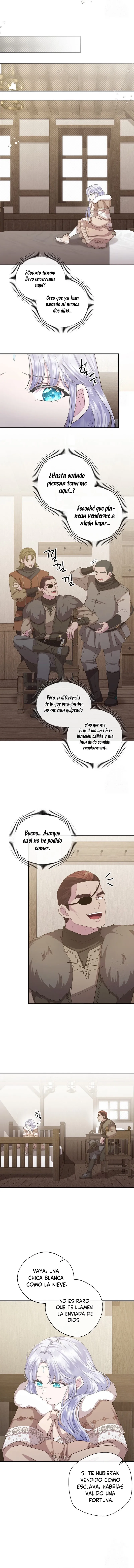 4 Las violetas que florecieron en el jardín