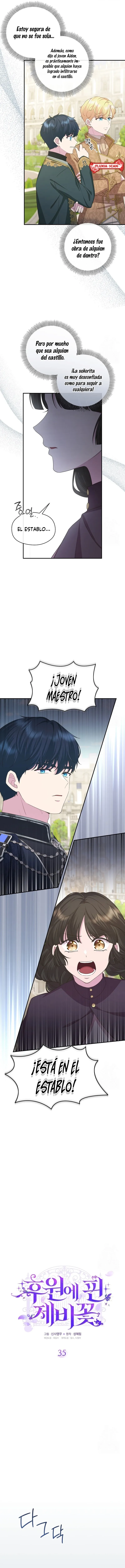 1 Las violetas que florecieron en el jardín