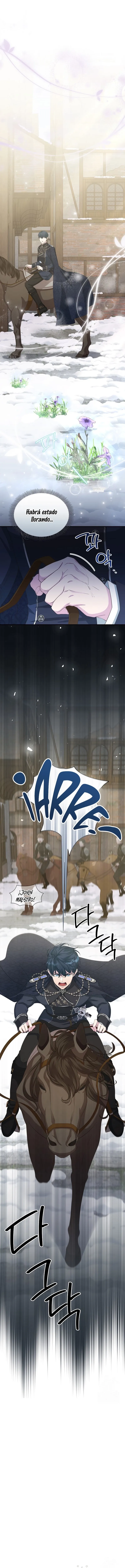 3 Las violetas que florecieron en el jardín