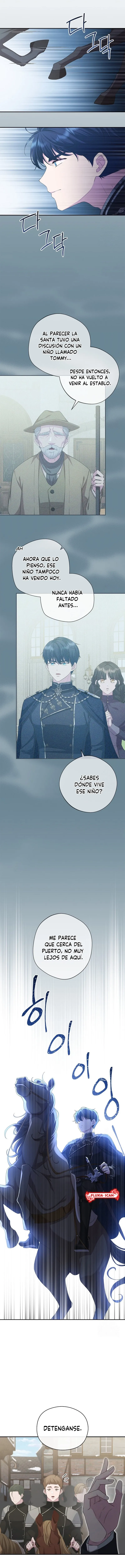 2 Las violetas que florecieron en el jardín