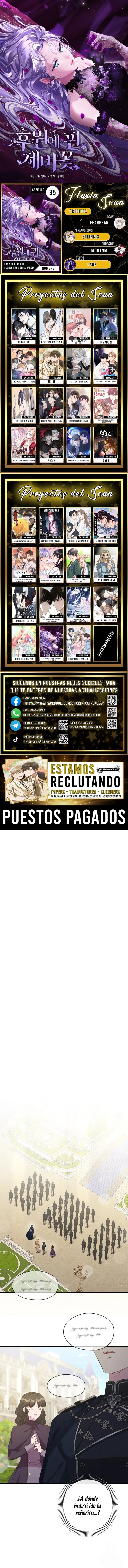 0 Las violetas que florecieron en el jardín