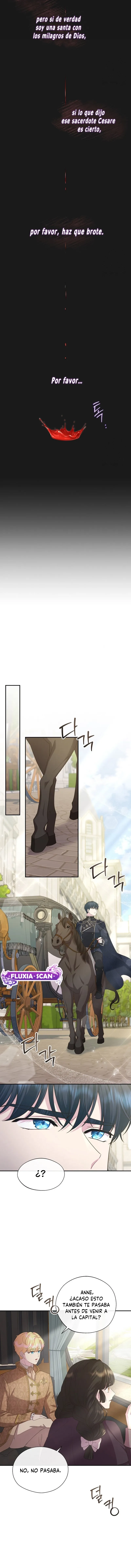 7 Las violetas que florecieron en el jardín