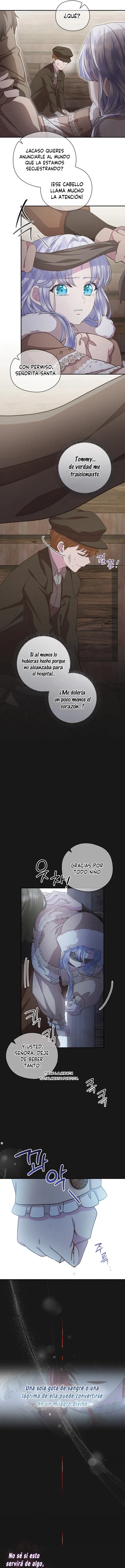 6 Las violetas que florecieron en el jardín