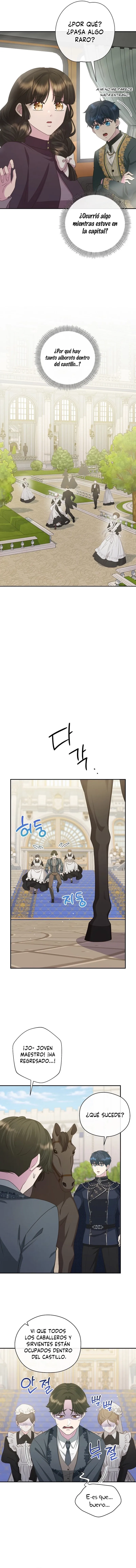 8 Las violetas que florecieron en el jardín