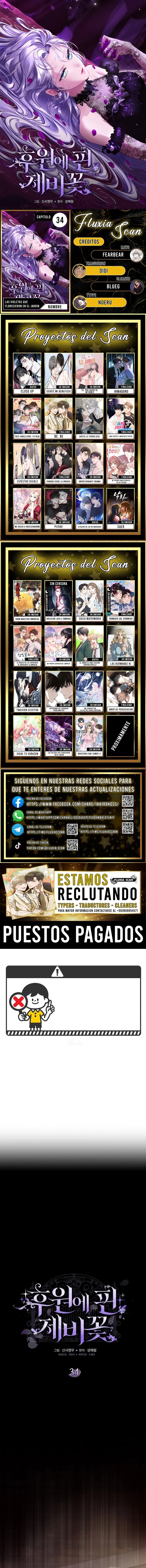 0 Las violetas que florecieron en el jardín