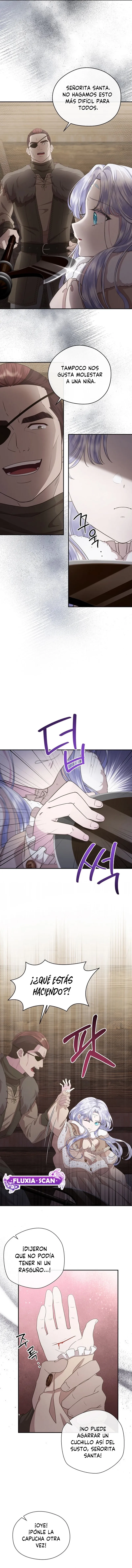 5 Las violetas que florecieron en el jardín