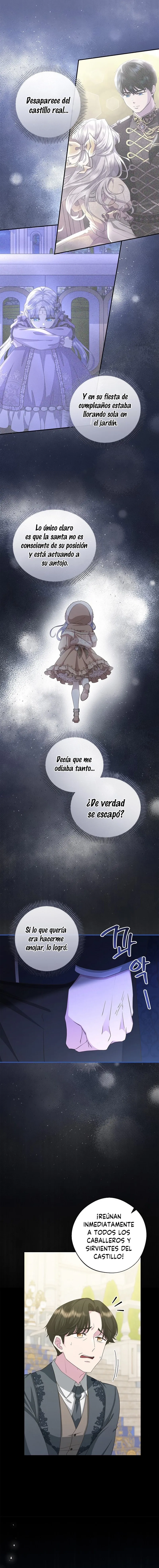 11 Las violetas que florecieron en el jardín