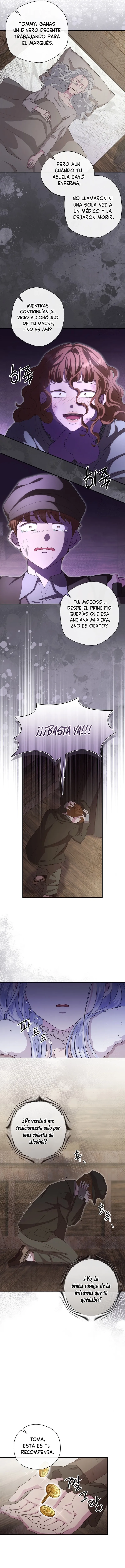 3 Las violetas que florecieron en el jardín