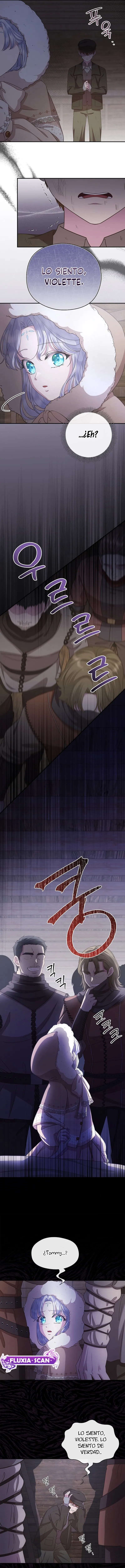 10 Las violetas que florecieron en el jardín