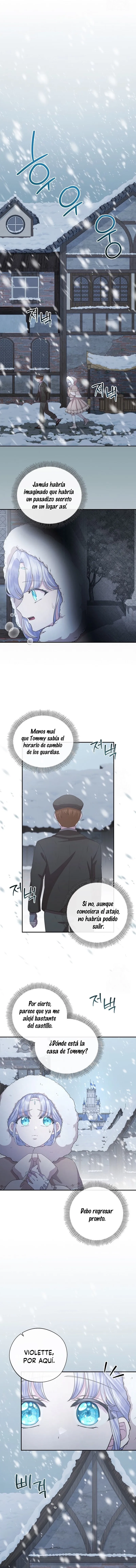 7 Las violetas que florecieron en el jardín