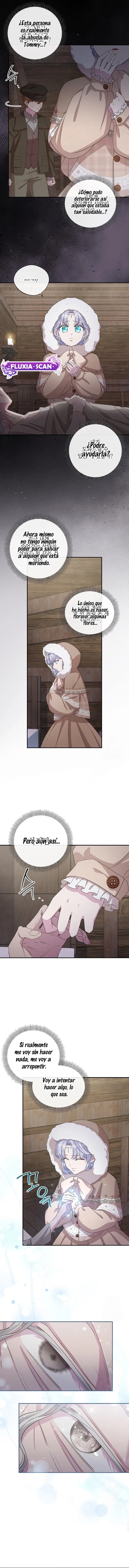 9 Las violetas que florecieron en el jardín